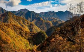 冬日快來佛坪，體驗零霧霾小城大口呼吸的暢快！縮略圖