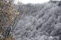 雨雪天氣今晚就到！安全防御指南請收好→縮略圖