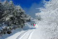 一場浪漫冬雪，讓鎮(zhèn)巴美出圈！縮略圖