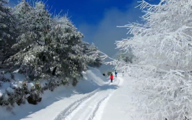 一場(chǎng)浪漫冬雪，讓鎮(zhèn)巴美出圈！縮略圖