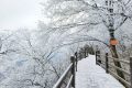 龍頭山今日又下雪啦，每一幀都是“限定浪漫”！縮略圖