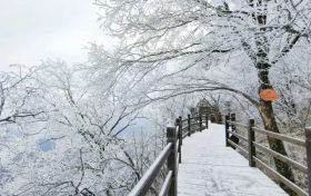龍頭山今日又下雪啦，每一幀都是“限定浪漫”！縮略圖