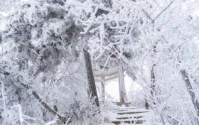 賞雪時(shí)節(jié)已至，漢江源邀您感受白色浪漫！縮略圖