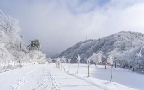 天冷了，吃點(diǎn)啥有助抗寒？縮略圖