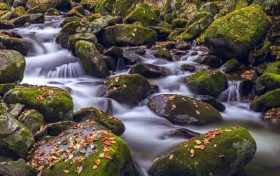 冬日快來(lái)佛坪，體驗(yàn)零霧霾小城大口呼吸的暢快！縮略圖