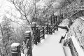 冷?冷?冷?，最低零下 6 ℃ ，漢臺迎來新一輪降溫降雪，詳情→縮略圖