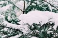 漢中，下雪啦！縮略圖