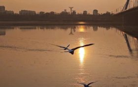 興元路修建完成，公交集團24路公交線路恢復(fù)運營縮略圖