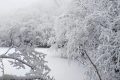 局地積雪可達10cm！冰雪路面如何安全行車？縮略圖