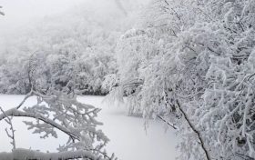 局地積雪可達10cm！冰雪路面如何安全行車？縮略圖