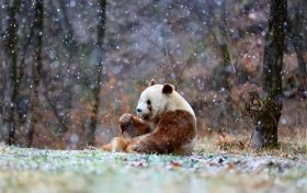 漢中2條線路入選全國(guó)精品！縮略圖