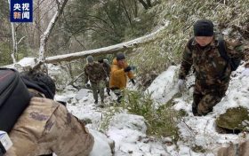 央視總臺(tái)記者在佛保區(qū)偶遇秦嶺野生大熊貓縮略圖