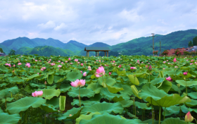 即將啟用監(jiān)控設(shè)備！設(shè)置地點(diǎn)→縮略圖