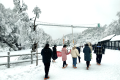 太美啦！漢江源景區(qū)下雪啦！滑雪場也即將開放！縮略圖