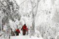 【鬧元宵·賞雪景】一起去漢江源看雪吧！縮略圖