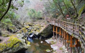 好消息！漢臺(tái)一景區(qū)恢復(fù)開(kāi)園，3月8日女士免費(fèi)→縮略圖