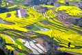 不負(fù)好春光！寧強(qiáng)這4條春季旅游線路快收藏！縮略圖