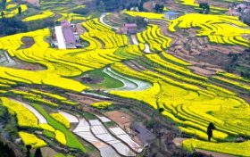 不負(fù)好春光！寧強(qiáng)這4條春季旅游線路快收藏！縮略圖