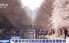 氣象條件對花粉濃度有哪些影響？花粉季要注意什么？專家解答縮略圖