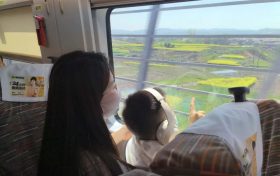 坐著高鐵穿花海！這趟列車太“治愈”了！縮略圖