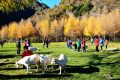 留壩入選“五一”最美鄉(xiāng)村旅游目的地！縮略圖