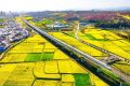 坐上高鐵去漢中，共赴一場浪漫之旅！縮略圖