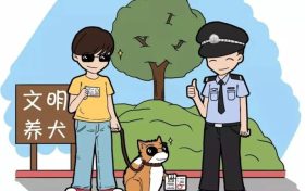 罰款300元！遛狗未拴繩，略陽公安開出首張罰單縮略圖