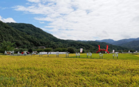 全省推介！漢中2路線入選→縮略圖