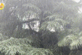 未來三天，陜西有強降水天氣過程，局地短時暴雨，具體預報→縮略圖