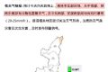 強(qiáng)降雨天氣持續(xù)！局地大到暴雨！這些一定要做到→縮略圖