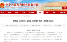 農(nóng)業(yè)農(nóng)村部推介！留壩獲評2024中國美麗鄉(xiāng)村休閑旅游行（秋季）精品景點(diǎn)線路縮略圖