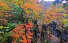 邂逅彩林，感受漢江源的秋日之美縮略圖