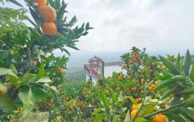 爭做文明游客，不負(fù)城固美景！縮略圖