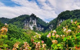 漢中黎坪景區(qū)冬日暫別，相約2025年春之盛景縮略圖