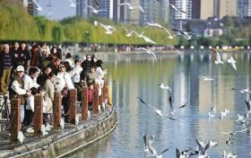 10→4000！漢中的“老朋友”回歸！縮略圖