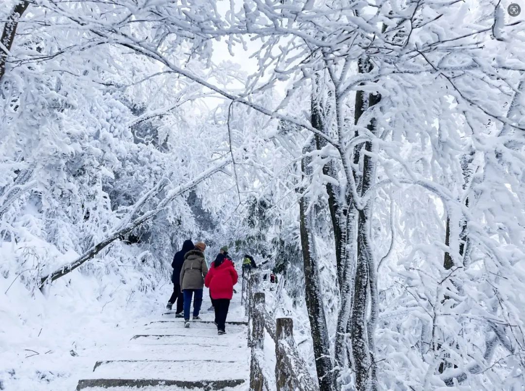 2024漢江源冰雪旅游季抖音大賽等你來(lái)挑戰(zhàn)！