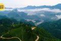 鎮(zhèn)巴楮溪源：山川之美創(chuàng)4A，茶旅融合新畫(huà)卷縮略圖