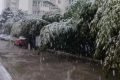 明顯降溫！陜西新一波雨雪即將到來縮略圖