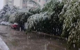 明顯降溫！陜西新一波雨雪即將到來縮略圖
