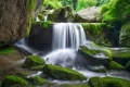 尋夢油菜花海，探秘漢江之源：三天兩晚奇遇之旅縮略圖