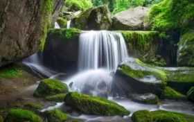 尋夢油菜花海，探秘漢江之源：三天兩晚奇遇之旅縮略圖