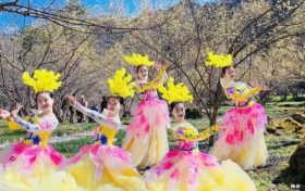 3月22日，王家灣村，茱萸花海踏春游活動來啦！縮略圖