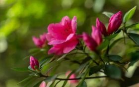 徒步漢江源：一場與自己的較量，一場青春的蛻變縮略圖