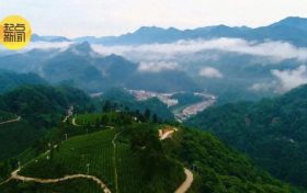 陜西漢中至四川廣元高速擴(kuò)容項(xiàng)目建設(shè)迎來新進(jìn)展 通車后將緩解川陜交通壓力縮略圖