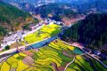鎮(zhèn)巴簡(jiǎn)池鎮(zhèn)李塘村：春日河畔花海，宛如水墨仙境縮略圖