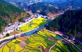 鎮(zhèn)巴簡池鎮(zhèn)李塘村：春日河畔花海，宛如水墨仙境縮略圖