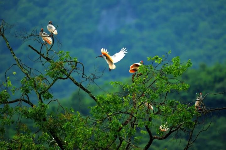 4042c60d3653e49e01da6ca5e8f69728