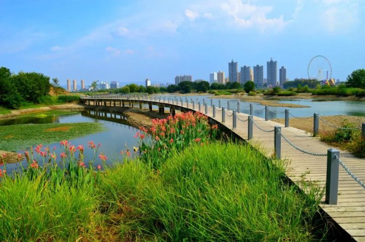 5d702e843c26951d66d2bf5c41ec43f7