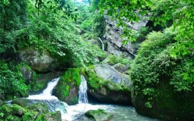 免票！中高考學子福利來啦??！縮略圖