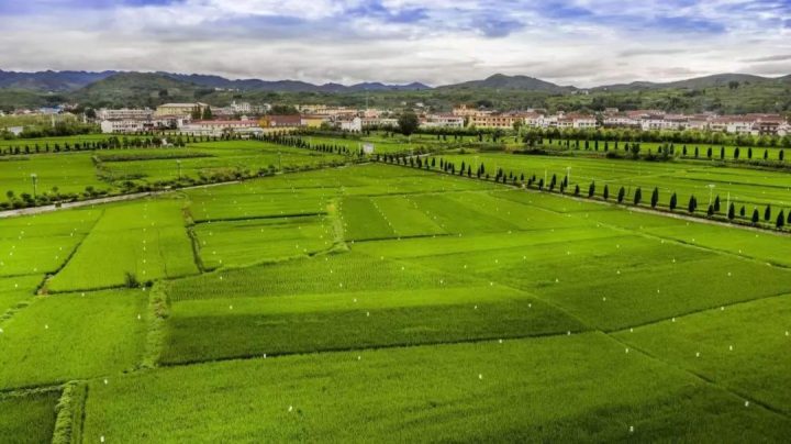 8a85b656bb7331c4548d58ab0f27f3d9